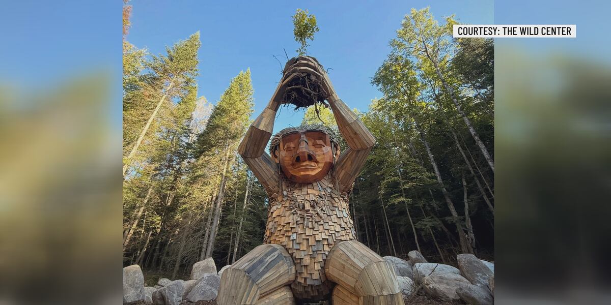 Wild Center unveils New York’s first permanent troll sculpture