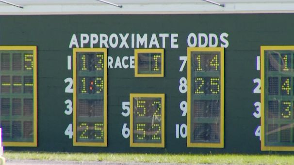 Gambling Addiction in NY: The Impact of the Rise of Betting