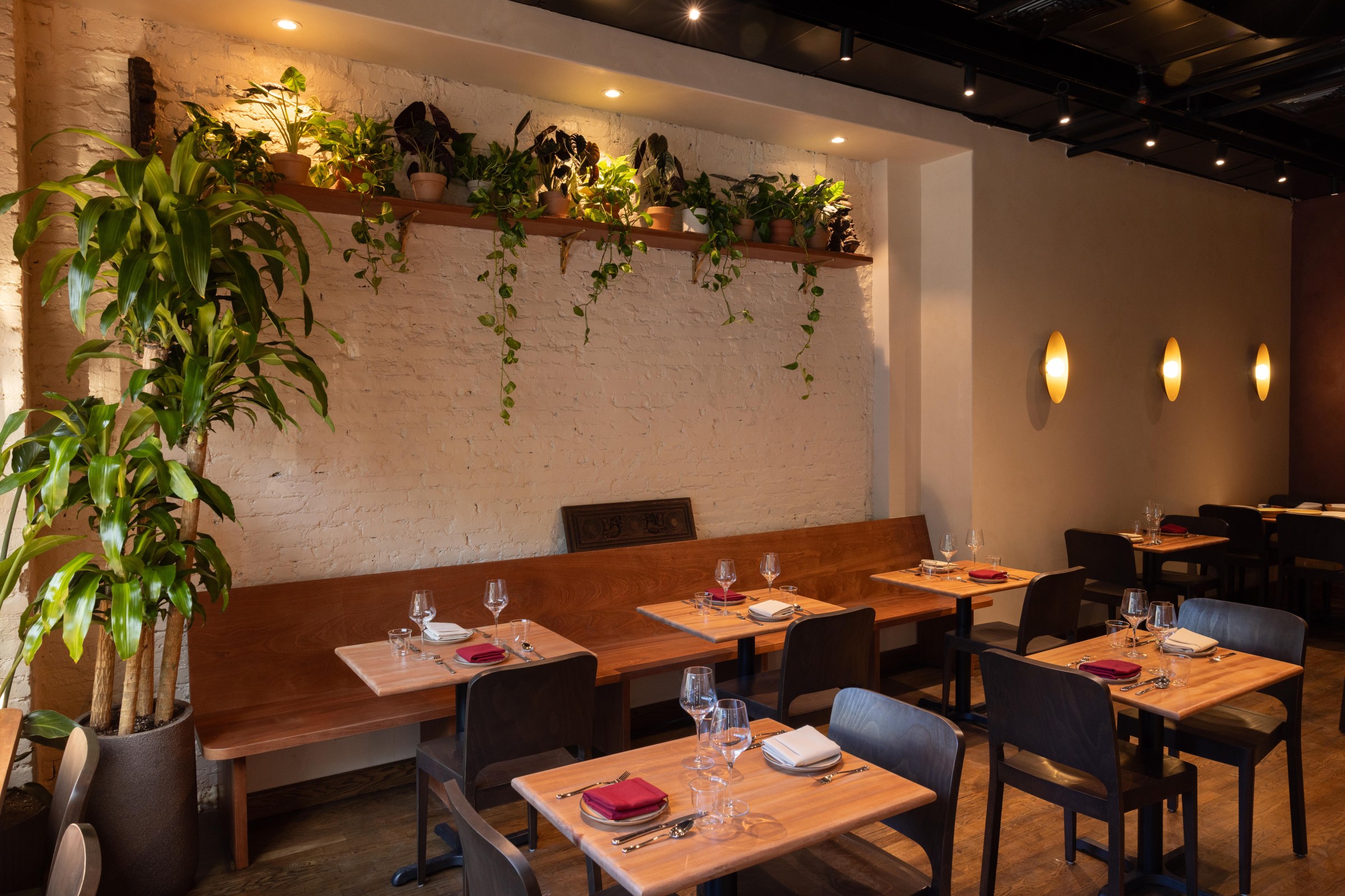 A restaurant dining room with wooden tables, a white plaster wall, and hanging green plants on a shelf.