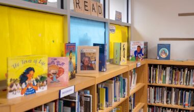 ‘The kids simply cannot handle it’: Why New York students are reading fewer books