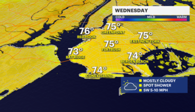 News 12 | Bronx | Your Daily Brooklyn Weather Forecast