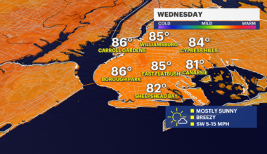 News 12 | Brooklyn | Your Daily Brooklyn Weather Forecast