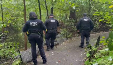 (Spectrum News NY1)