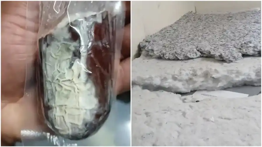moldy food, broken mattress
