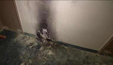 Man allegedly started chemical fire in Long Island apartment building – NBC New York