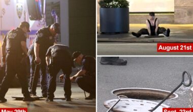 Trio climb from Brooklyn manhole in string of NYC sewer-diving incidents: cops