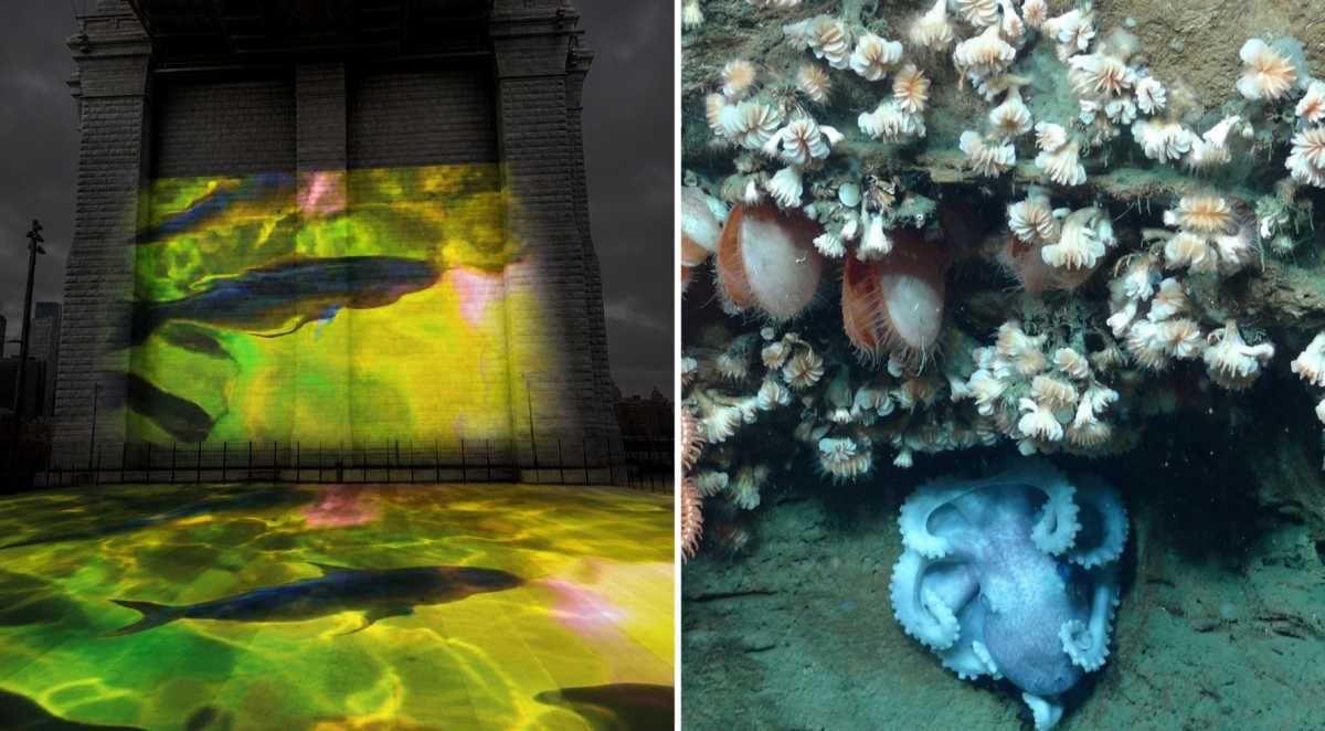 Immersive installation ‘Aqua Cosmos: The Hudson Canyon’ brings marine life to the Brooklyn Bridge • Brooklyn Paper