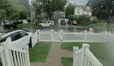 Video shows man hit by lightning on Staten Island – NBC New York