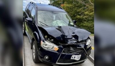 Pedestrian killed in Town of Champion crash identified