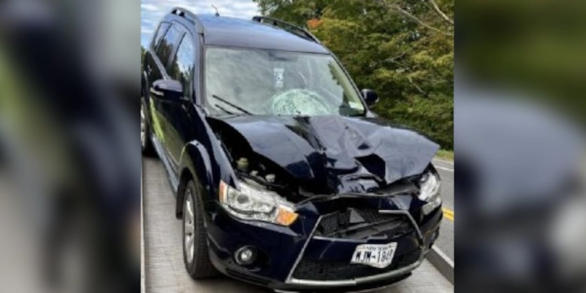 Pedestrian killed in Town of Champion crash identified