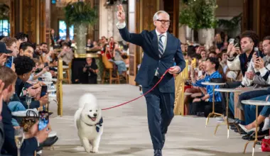 Did Taylor Swift and Travis Kelce’s dog walk the runway at New York Fashion week?