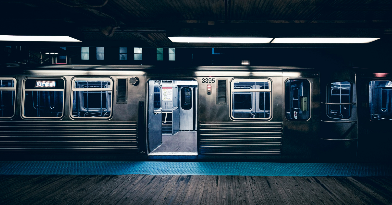 Since 2001, Delaware has sunk more than 700 retired New York City subway cars off its coast to build the Redbird Reef, and within a few years each stripped steel shell had grown a coating of mussels and sponges thick enough to support fish populations far denser than the sandy seafloor around it