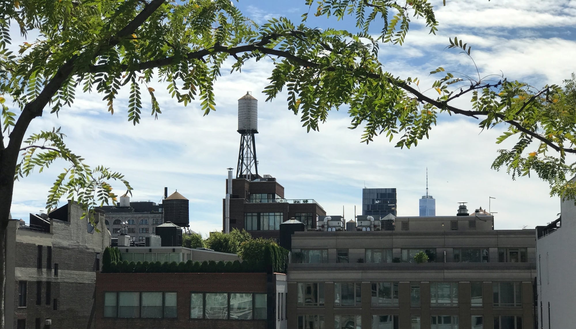 NYC detects second Legionnaires’ outbreak of summer in the South Bronx NYC detects second Legionnaires’ outbreak of summer in the South Bronx