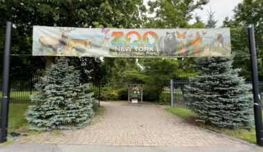 More changes for Zoo New York in Watertown