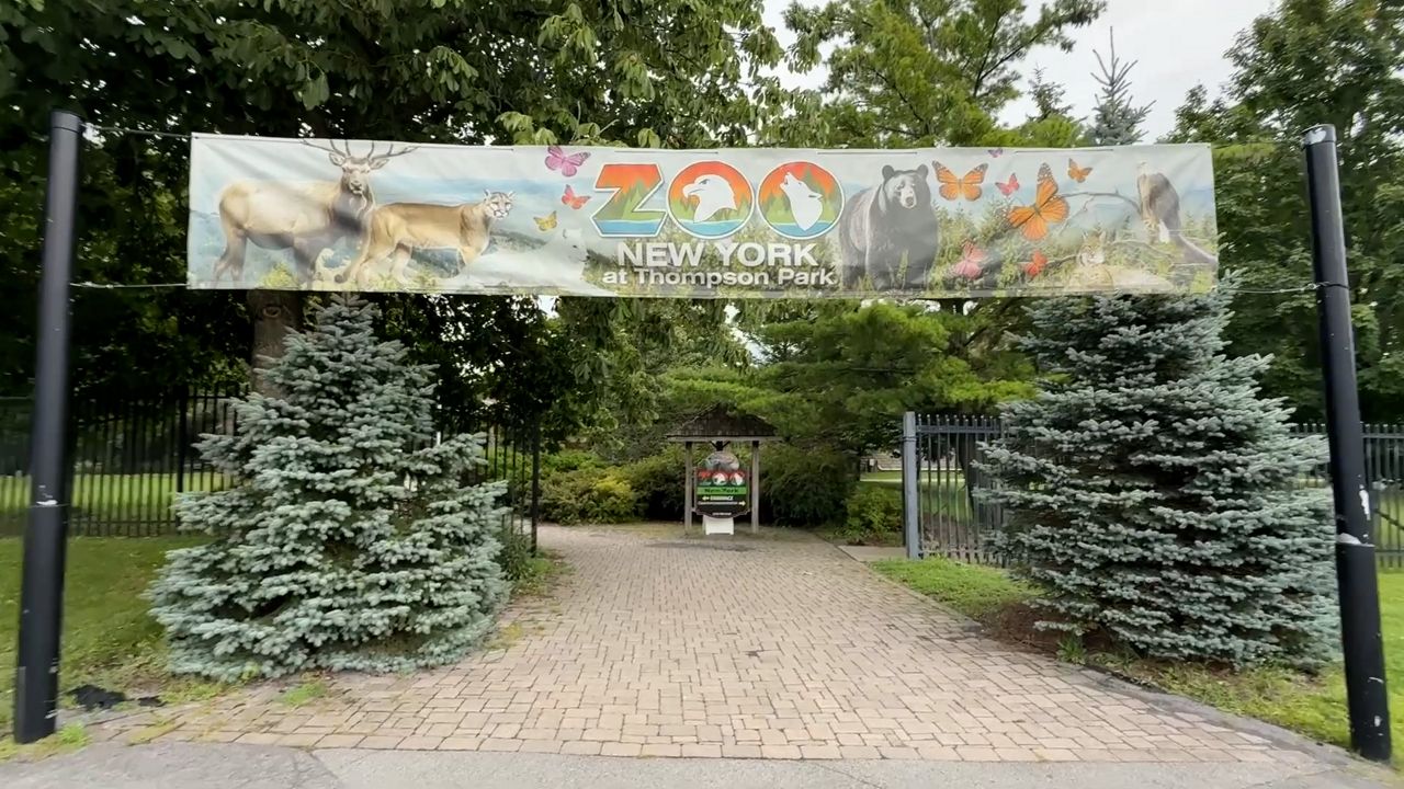 More changes for Zoo New York in Watertown