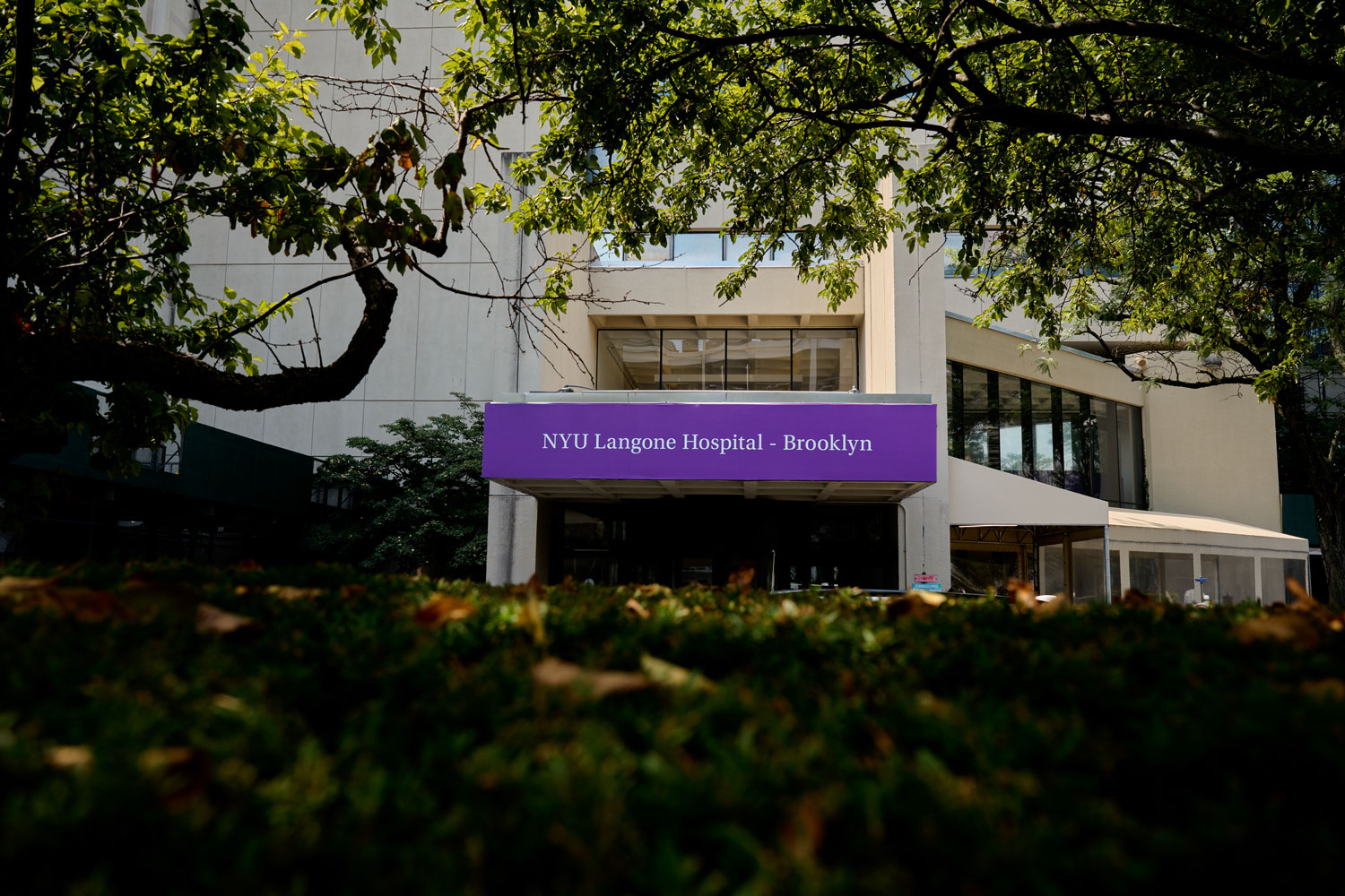 NYU Langone-Brooklyn Sunset Park. Photo by Joe Carrotta