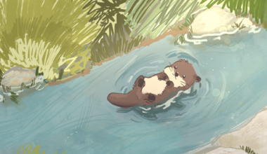 Otter spotted in the Bronx River for first time in over 100 years
