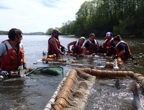 Striking the right balance for marine life management