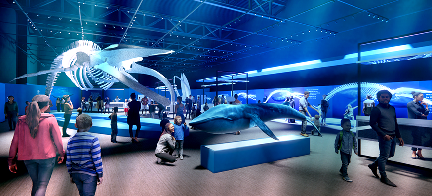 Liberty Science Center will move its special gallery space down from the fourth floor. PROVIDED BY LIBERTY SCIENCE CENTER -