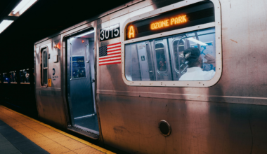 Delaware dropped 714 retired New York subway cars into the Atlantic 16 miles offshore — the old steel cars became a reef where mussels, oysters and other life now provide up to 400 times more food for fish than the bare seafloor around them