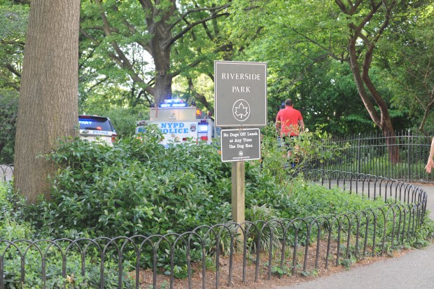 Riverside Park in Manhattan. (Sam Costanza for New York Daily News)