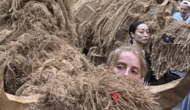 Return of the Buffalo: Tatanka Owe Akupi – New York Theater