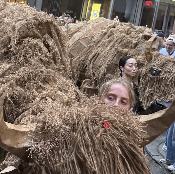 Return of the Buffalo: Tatanka Owe Akupi – New York Theater