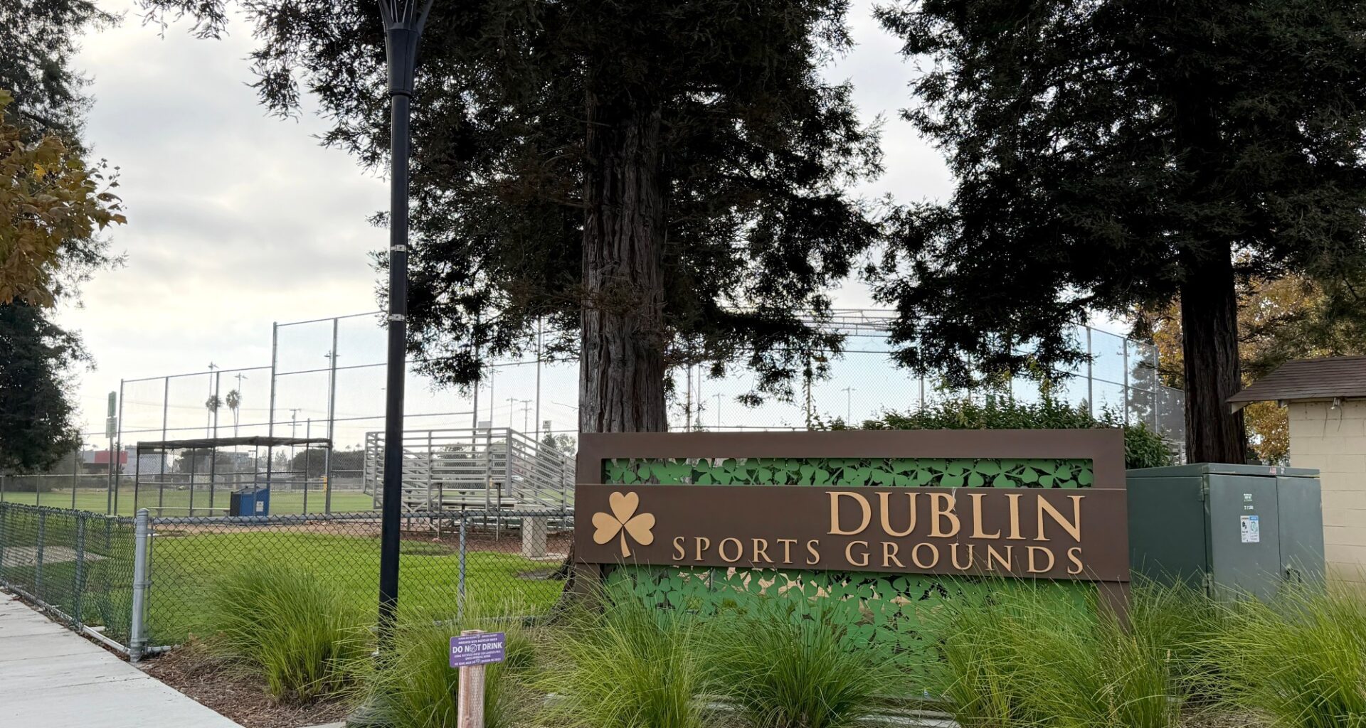 Dublin couple charged with killing New York Times executive in planned ambush amid bitter family dispute