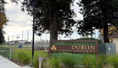 Dublin couple charged with killing New York Times executive in planned ambush amid bitter family dispute