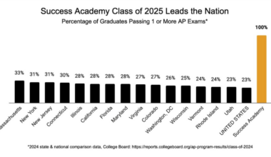 Success Academy Sues New York State For Suppressing AP Test Scores