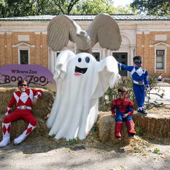 Boo at the Zoo Returns to the Bronx Zoo This Fall