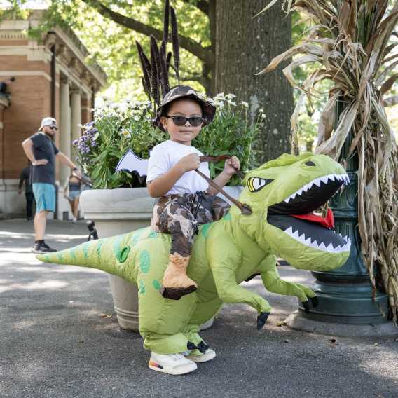 Boo at the Zoo Returns to the Bronx Zoo This Fall