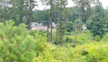 Wildland urban interface poses growing fire risk