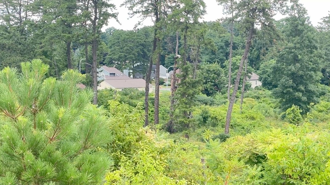 Wildland urban interface poses growing fire risk