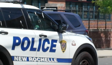News 12 | Bronx | Man Wanted In Bronx Double Killing Arrested In Pistol Whipping Woman In New Rochelle