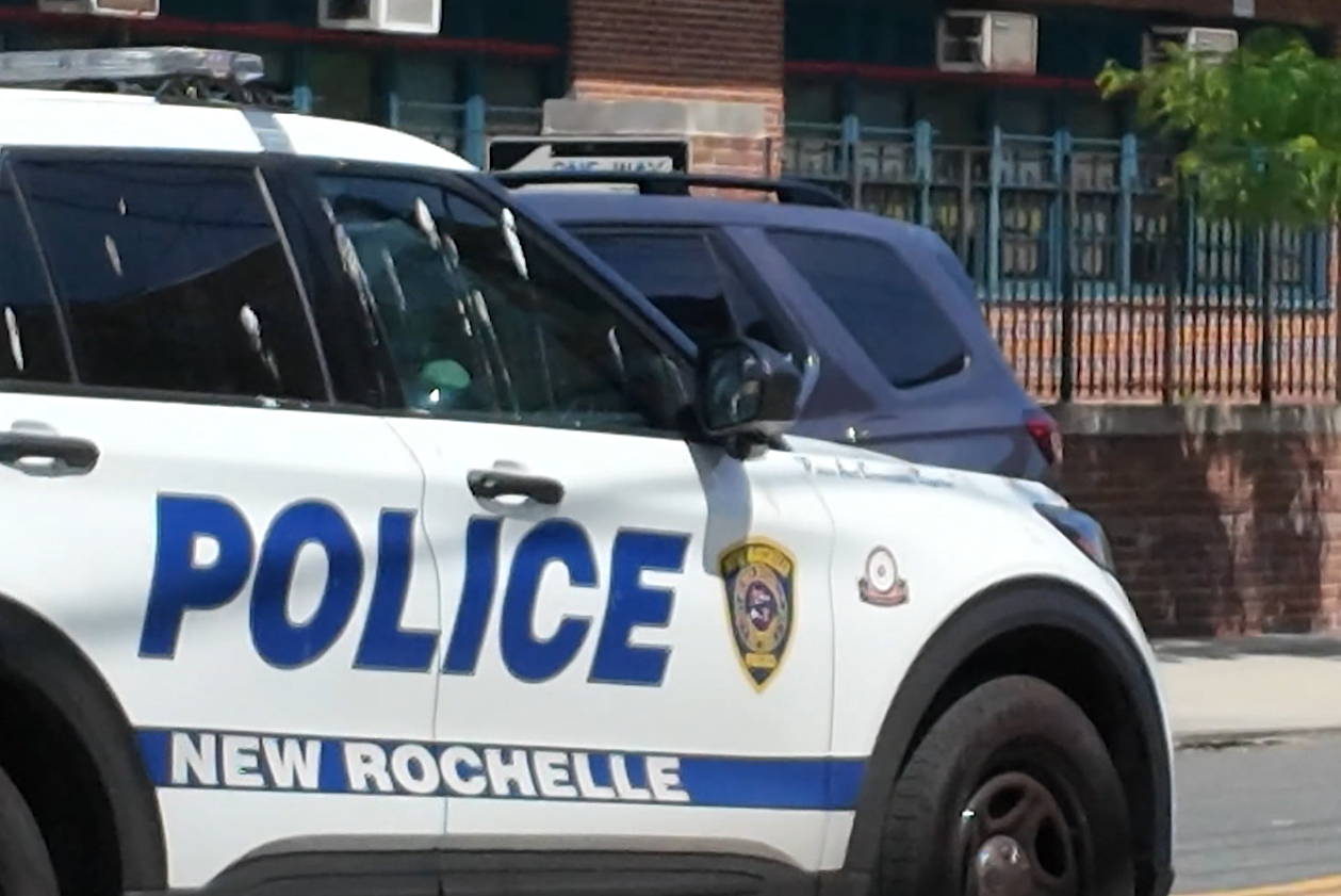News 12 | Bronx | Man Wanted In Bronx Double Killing Arrested In Pistol Whipping Woman In New Rochelle