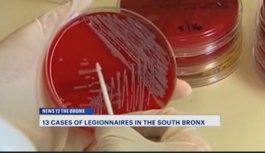 News 12 | Brooklyn | 13 Cases Of Legionnaires Reported In The South Bronx