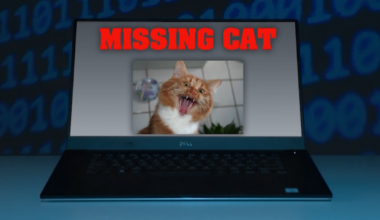News 12 | Brooklyn | Scammers Exploit Missing Pets With Fake Photos And Demands For Money Bbb Says