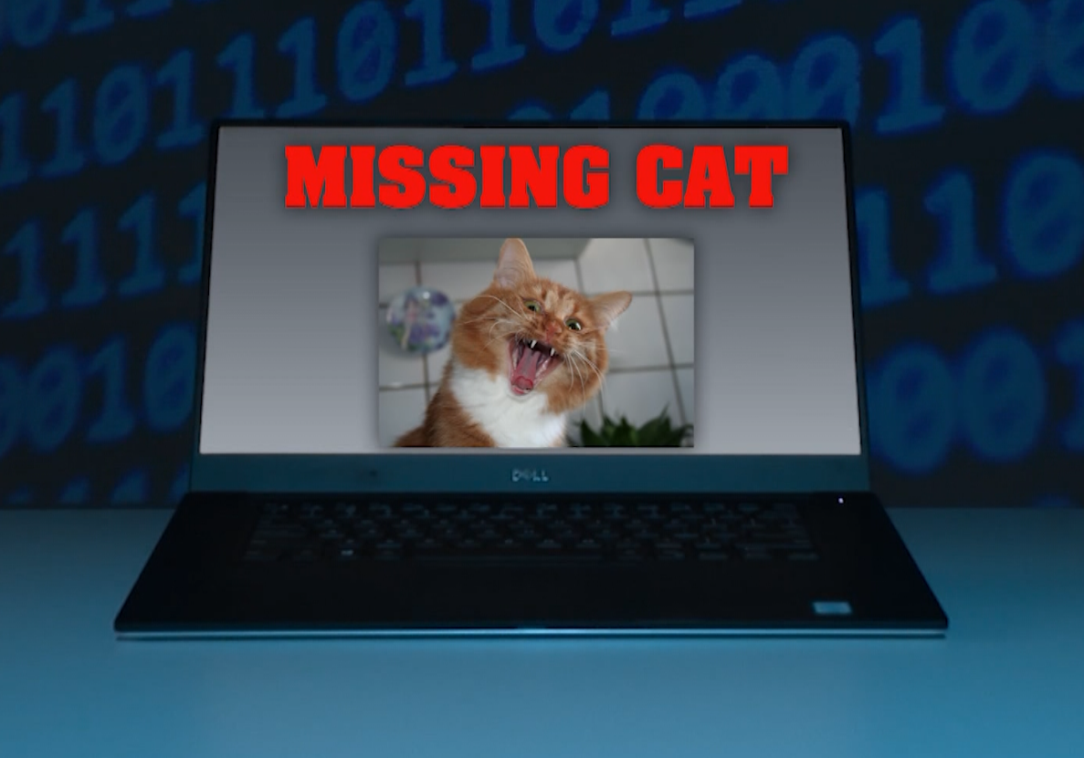 News 12 | Brooklyn | Scammers Exploit Missing Pets With Fake Photos And Demands For Money Bbb Says