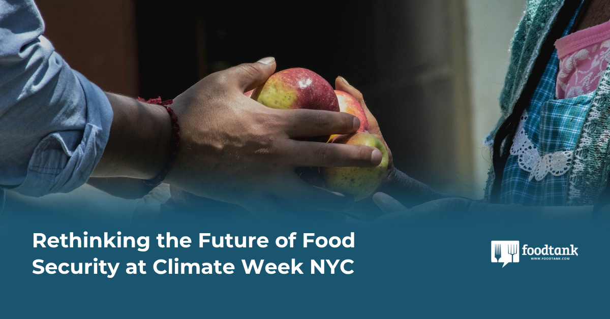 Rethinking the Future of Food Security at Climate Week NYC – Food Tank