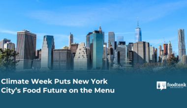 Climate Week Puts New York City’s Food Future on the Menu – Food Tank