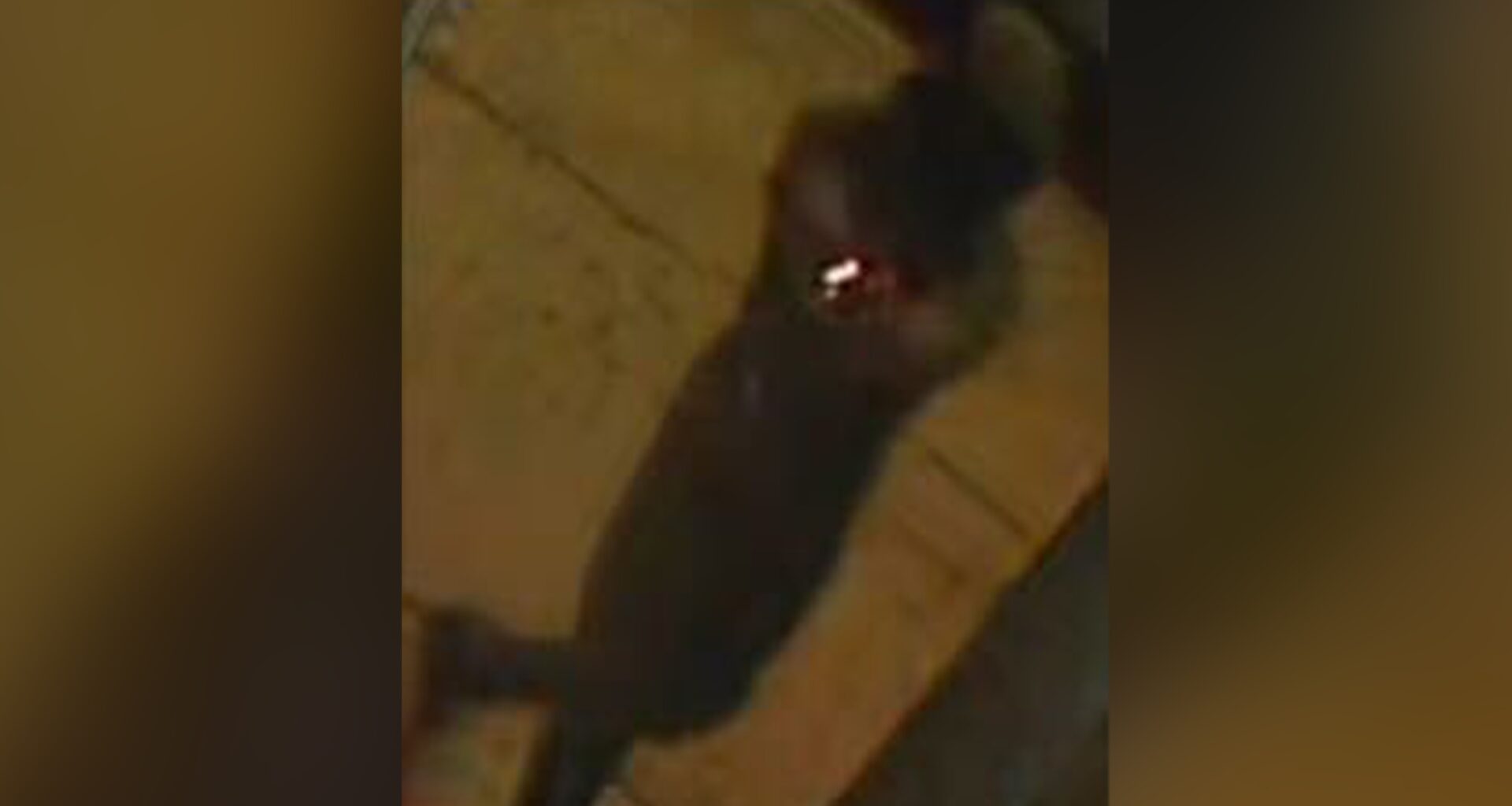 NYPD hunts shooter wanted for killing man during robbery outside Queens strip club