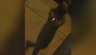 NYPD hunts shooter wanted for killing man during robbery outside Queens strip club