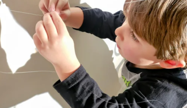 Tribeca Community School comes to Ridgefield