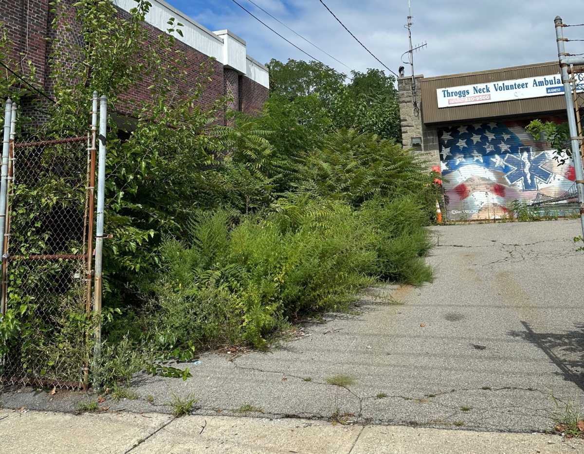 Bronx residents raise concerns over conditions of the Throggs Neck Volunteer Ambulance Corps – Bronx Times