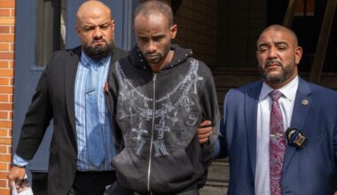 Suspect arrested for stabbing woman to death in front of her son, 7, at Brooklyn park bbq