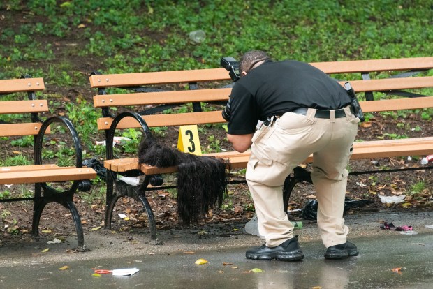 Police investigate a fatal stabbing inside Lincoln Terrace Park in Brooklyn, New York on Tuesday, Aug. 18, 2026. (Gardiner Anderson / New York Daily News)