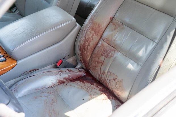 According to witnesses, a man driving a black Nissan Altima sedan with a female passenger in tow was being pursued by another man driving an older model beige Lexus sedan eastbound on New Lots Avenue in Brooklyn on Thursday September 3, 2026. 1153. The man driving the Altima allegedly stabbed the pursuer multiple times at an unknown location. As the Altima tried to turn right onto Elton Street, the pursuing Lexus struck the rear of the Altima, causing it to mount the sidewalk where it made contact with a small tree. As the Altima backed off and tried to leave, the Lexus partially mounted the sidewalk and struck the driver door of the Altima. All occupants of both vehicles then exited and engaged in a physical fight, with the woman from the Altima at one point pulling a gun from a bag as her accomplice yelled 'Give me the Gun'. No shots were fired. The driver of the Altima then took off running westbound on New lots Avenue, with the bleeding driver of the Lexus in hot pursuit. The Lexus driver caught up with his adversary just past 866 New Lots Avenue and, while gushing blood from his wounds, managed to get the upper hand and gouged out the left eye of his adversary while screaming 'You tried to kill me', before dropping it on the sidewalk. The Lexus driver then collapsed between parked cars a few feet away. According to witnesses, the woman from the black Nissan Altima was eventually arrested, but only after she got rid of the gun, removed other items from the car, and changed her clothes. (Theodore Parisienne / New York Daily News)