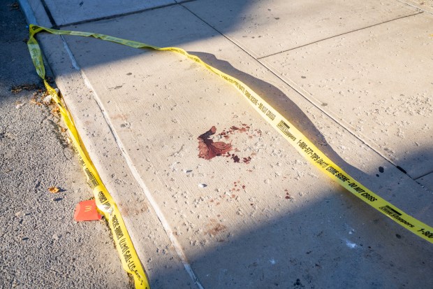 25yr old Christopher Davey was pronounced dead at Kings County Hospital after he was stabbed twice in the abdomen in front of 882 Albany Avenue in Brooklyn on Friday September 4, 2026. 1730. Photos taken on Saturday September 5, 2026. 0802. (Theodore Parisienne / New York Daily News)