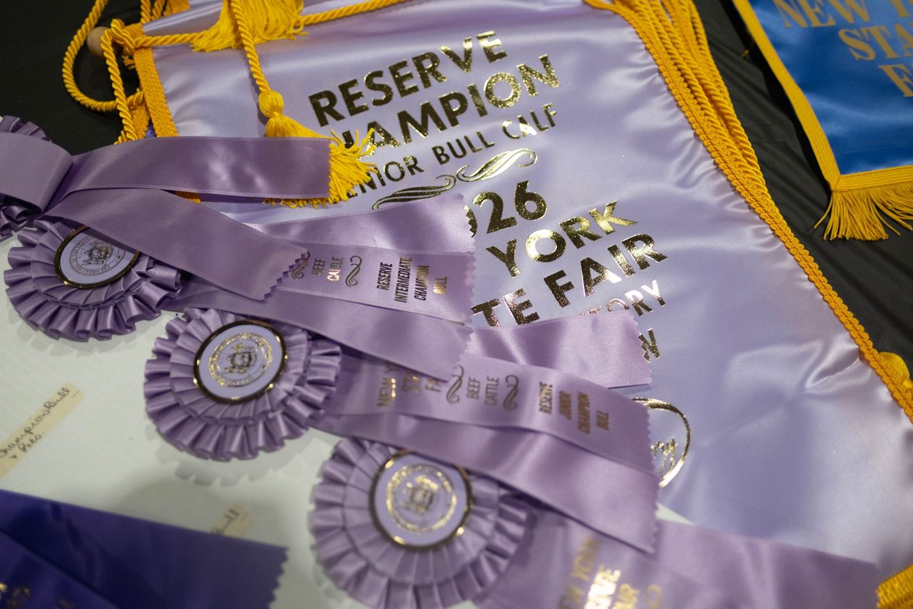 Ribbons on the table in the beef barn at the state fair
